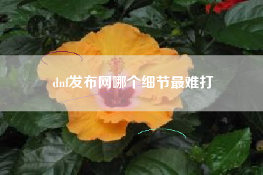 dnf发布网哪个细节最难打