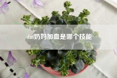 dnf奶妈加血是哪个技能