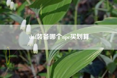 dnf装备哪个npc买划算