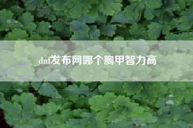 dnf发布网哪个胸甲智力高