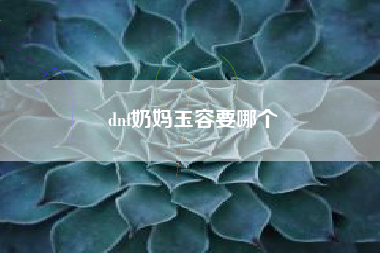 dnf奶妈玉容要哪个