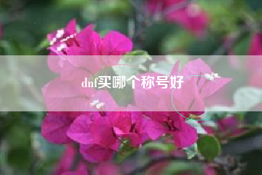 dnf买哪个称号好