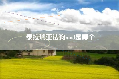 泰拉瑞亚法狗mod是哪个