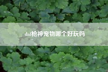 dnf枪神宠物哪个好玩吗