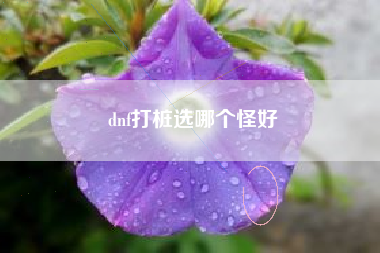 dnf打桩选哪个怪好