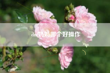 dnf奶妈哪个好操作