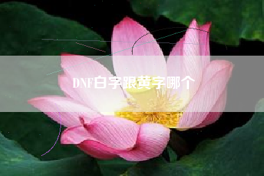 DNF白字跟黄字哪个