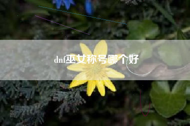 dnf巫女称号哪个好