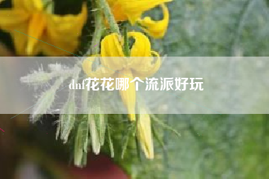 dnf花花哪个流派好玩