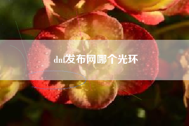 dnf发布网哪个光环