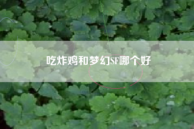 吃炸鸡和梦幻SF哪个好