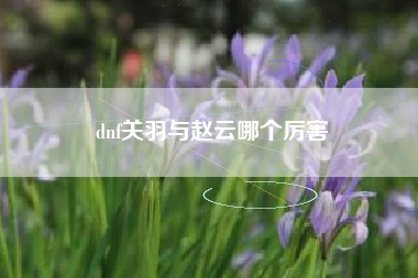 dnf关羽与赵云哪个厉害