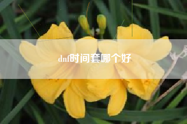 dnf时间套哪个好