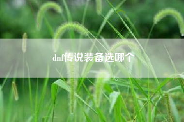 dnf传说装备选哪个