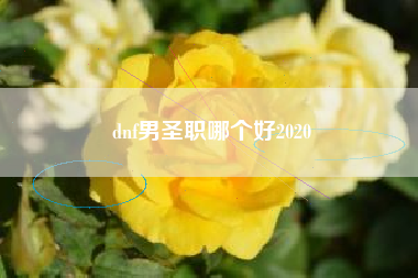 dnf男圣职哪个好2020