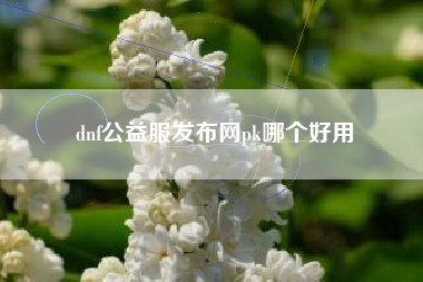 dnf公益服发布网pk哪个好用