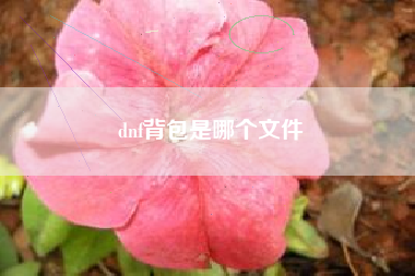 dnf背包是哪个文件