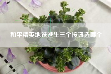 和平精英地铁逃生三个按钮选哪个