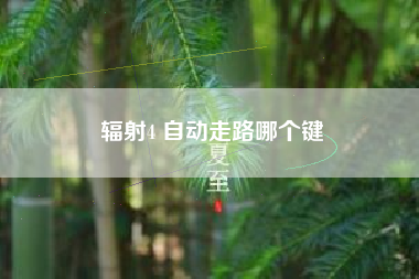 辐射4 自动走路哪个键