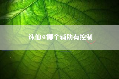 诛仙SF哪个辅助有控制