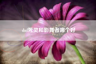 dnf死灵和影舞者哪个好