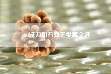 dnf妖刀和有教无类哪个好