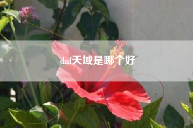 dnf天域是哪个好