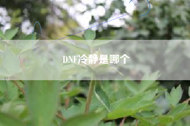 DNF冷静是哪个