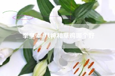 拳皇97ol八神和草鸡哪个好