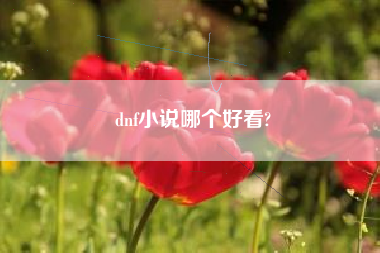 dnf小说哪个好看?