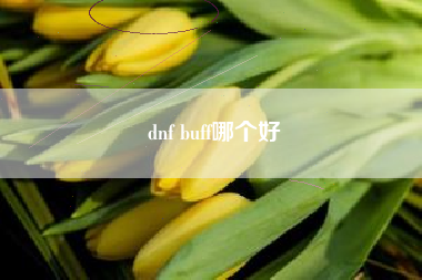 dnf buff哪个好