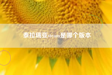 泰拉瑞亚steam是哪个版本