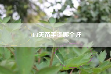 dnf天帝手镯哪个好