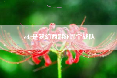 edg是梦幻西游SF哪个战队