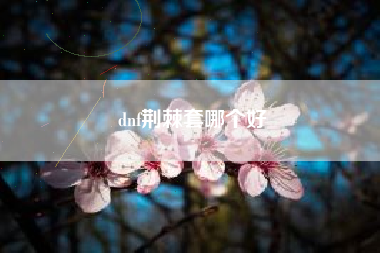 dnf荆棘套哪个好