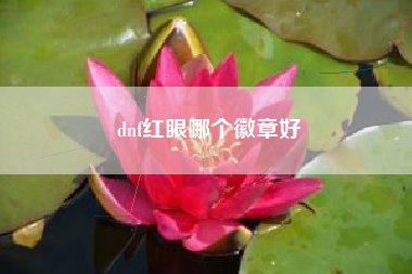 dnf红眼哪个徽章好