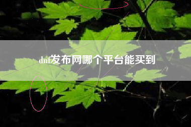 dnf发布网哪个平台能买到