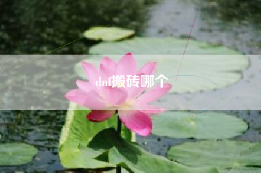 dnf搬砖哪个