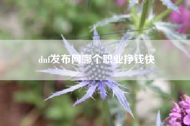 dnf发布网哪个职业挣钱快