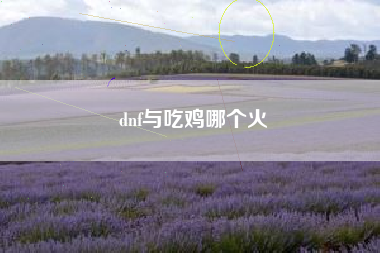 dnf与吃鸡哪个火