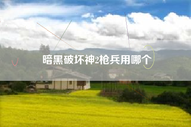 暗黑破坏神2枪兵用哪个