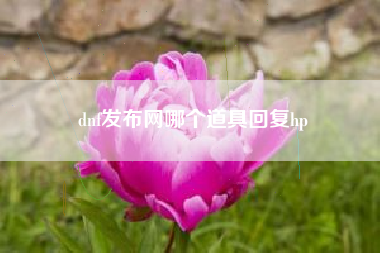 dnf发布网哪个道具回复hp