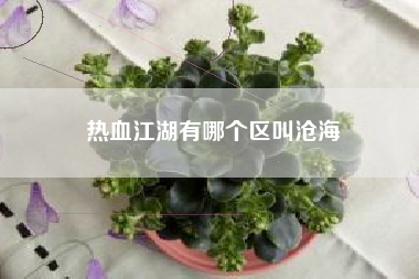 热血江湖有哪个区叫沧海