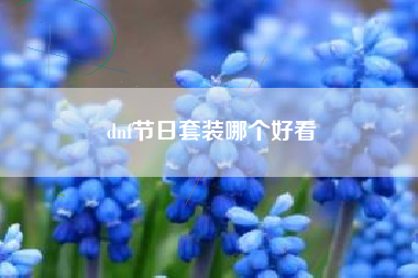 dnf节日套装哪个好看