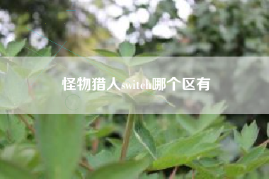 怪物猎人switch哪个区有