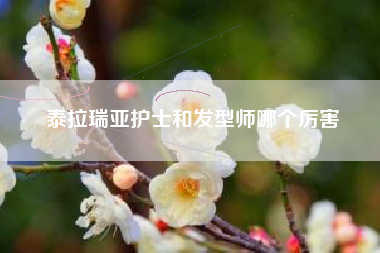 泰拉瑞亚护士和发型师哪个厉害