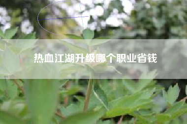 热血江湖升级哪个职业省钱