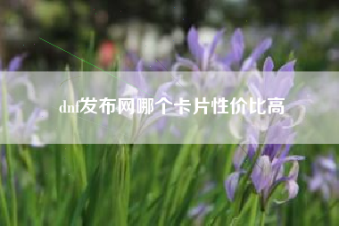 dnf发布网哪个卡片性价比高