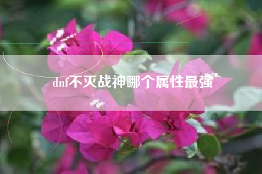 dnf不灭战神哪个属性最强