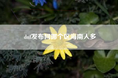 dnf发布网哪个区海南人多